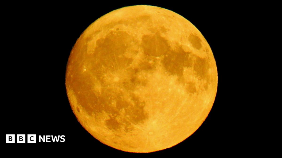 Close-up view of a golden full moon against a black night sky, showing detailed craters and surface markings
