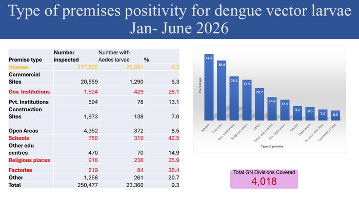 A Decade-High Surge in Dengue Infections