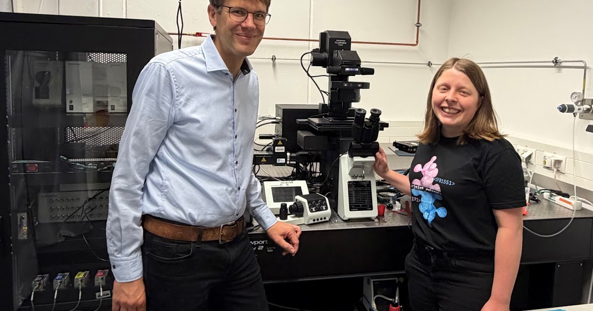 Measuring Protein Stability Inside Living Cells