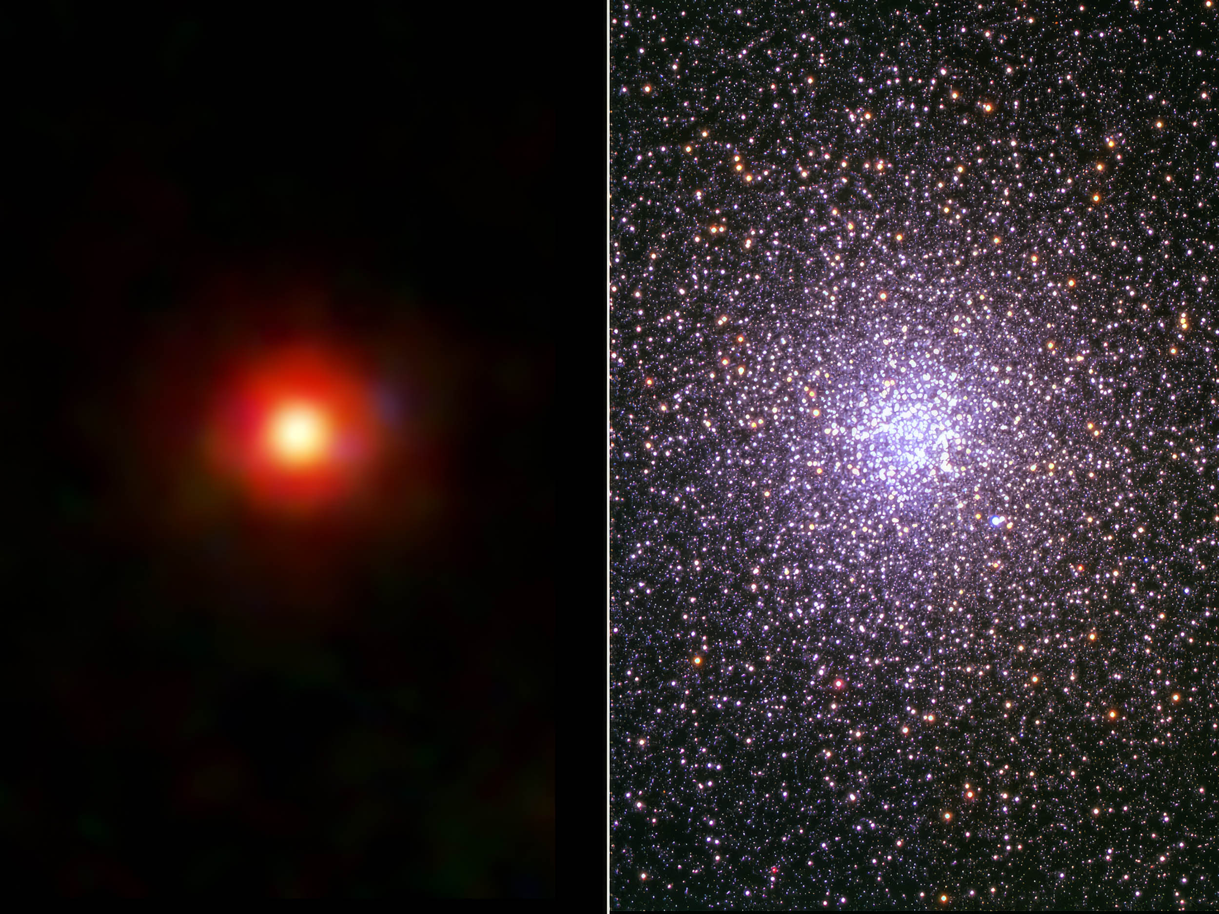 James Webb Space Telescope links Little Red Dots with globular clusters