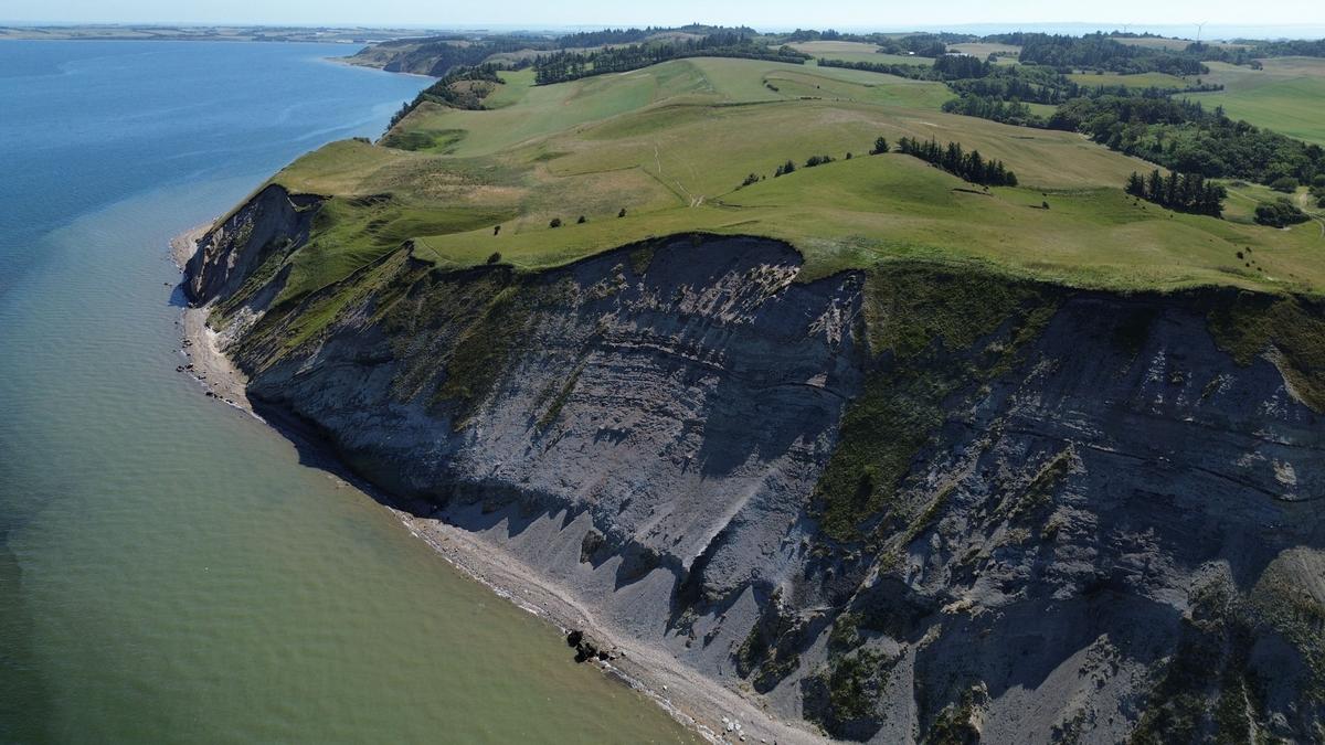 Researchers Find 567-Million-Year-Old Fossils in Canada's Mackenzie Mountains
