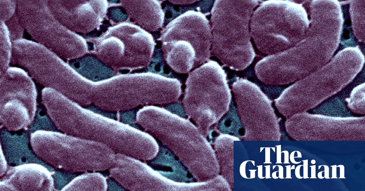 Louisiana Issues Beach Warning After Five Deaths From Flesh-Eating Bacteria