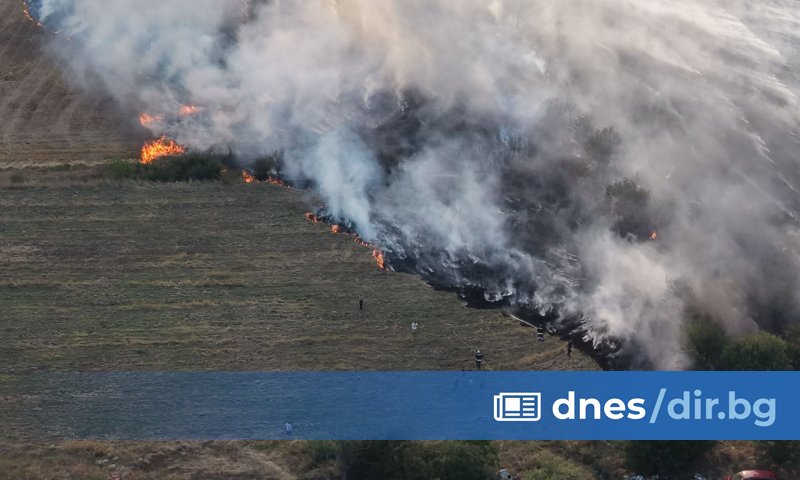Sofia Grass Fire Contained by Nine Fire Engines Near Vrazhdebna District