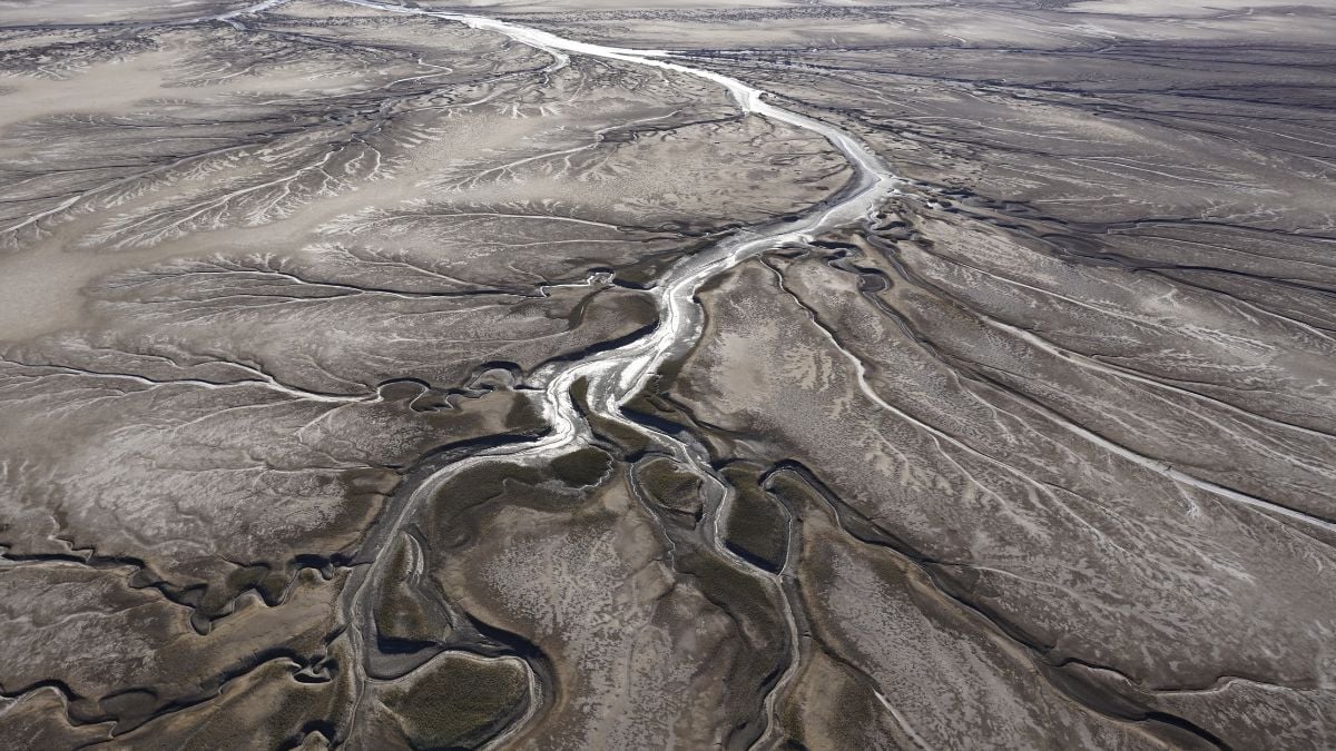 Global Sand Extraction Damages Ecosystems Amid Construction Boom