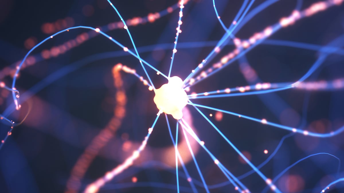 Microglia-Blocking Drug Restores Sleep in Alzheimer's Mice