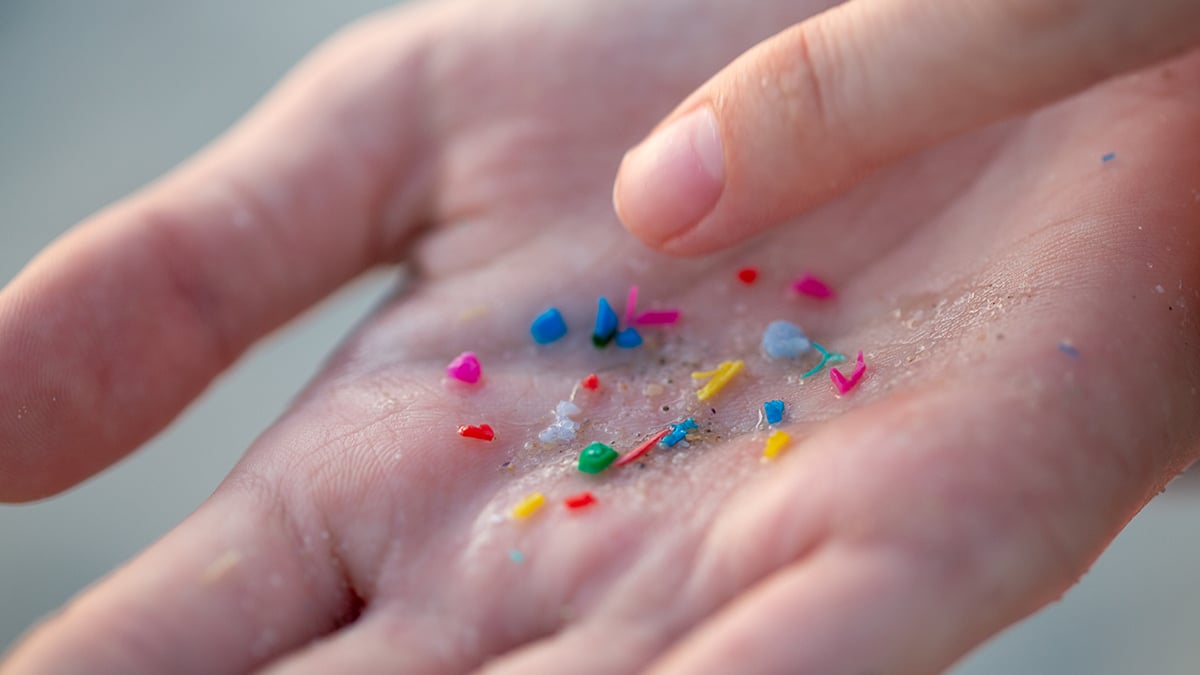 Microplastics Found in Human Artery and Placenta Samples