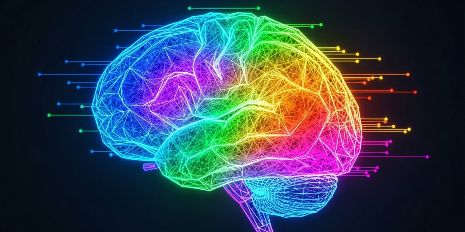 Psilocybin Increases Brain Flexibility and Alters Information Flow Weeks After Use