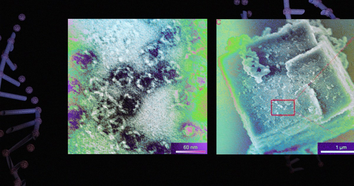 Researchers Create DNA-Glass Supermaterial Stronger and Lighter Than Steel